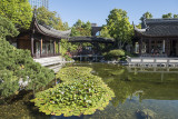 Lan Su Chinese Garden, lily pond
