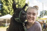 Zoe the llama and friend