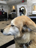 Ignoring the camera and the lobby