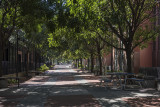 Transportation Walk