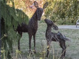 Tail wagging the deer