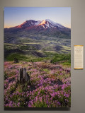 Mount St. Helens National Volcanic Monument, by Adrian Klein