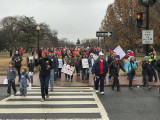 Marching through Lincoln Park