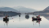 Loch Broom_SM33690.jpg