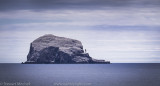 Bass Rock Blues_XT03901.jpg