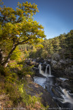 Rogie  Falls_EL32493.jpg