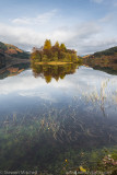 Loch Chon 5_EL32939.jpg