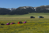 DSC07372.jpg