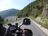 Ohride varis ani