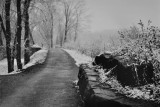 Akron, on the Towpath trail