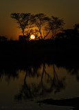 Marataba Sunset