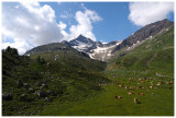 Passo Bernina