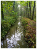 Osbroek