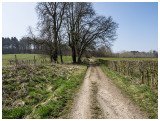 Altenbroek