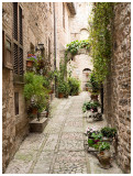 Spello