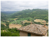 Montone - I
