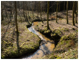 Ruisseau de Wachet