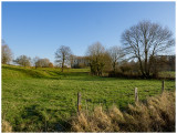 Bloemendael