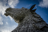 A Kelpie...