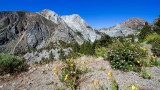 Tioga Pass
