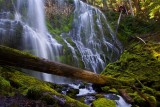 Proxy Falls