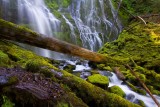 Proxy Falls