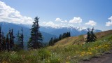 Hurricane Ridge