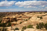 Needles District
