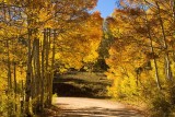 Washington Gulch Road