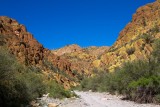  Box Canyon 