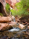 Kanarra Creek
