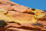 Cottonwood Cove