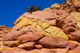 Cottonwood Cove