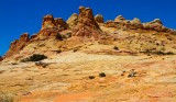 Cottonwood Cove