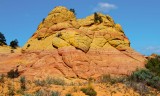 Cottonwood Cove