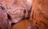 Zebra Slot Canyon