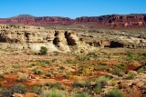  Flint Trail 
