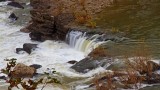Great Falls