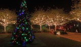 Christmas, Botanical Garden