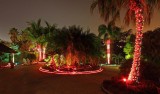 Christmas, Botanical Garden