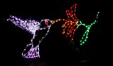 Christmas, Botanical Garden