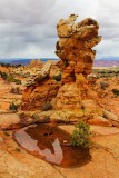 Cottonwood Cove