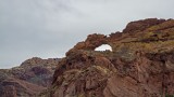  Organ Pipe Cactus N M  