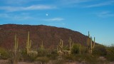  Ajo Sunset