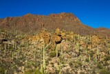  Tucson Mountain Park