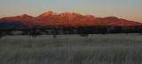 Santa Rita Mountains