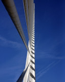 Bridge Supports