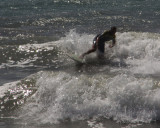 Surfs Up