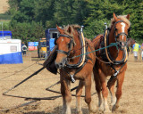 The Great Dorset Steam Fair