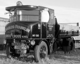 The Great Dorset Steam Fair